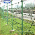 Barbed Wire Fencing for Protection